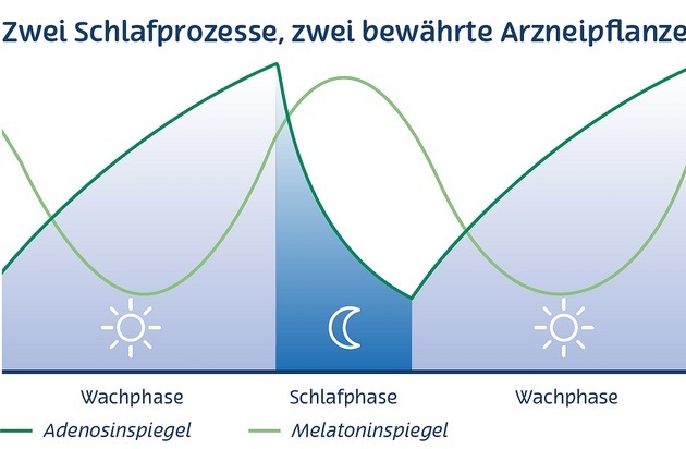 Regelmäßiger Schlafrhythmus visualisiert